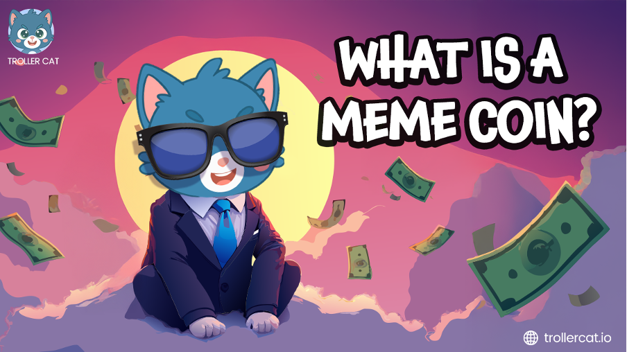 Troller Cat banner with the text that reads "What Is A Meme Coin?